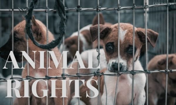 what-are-the-rights-of-the-animals-law-insider-india